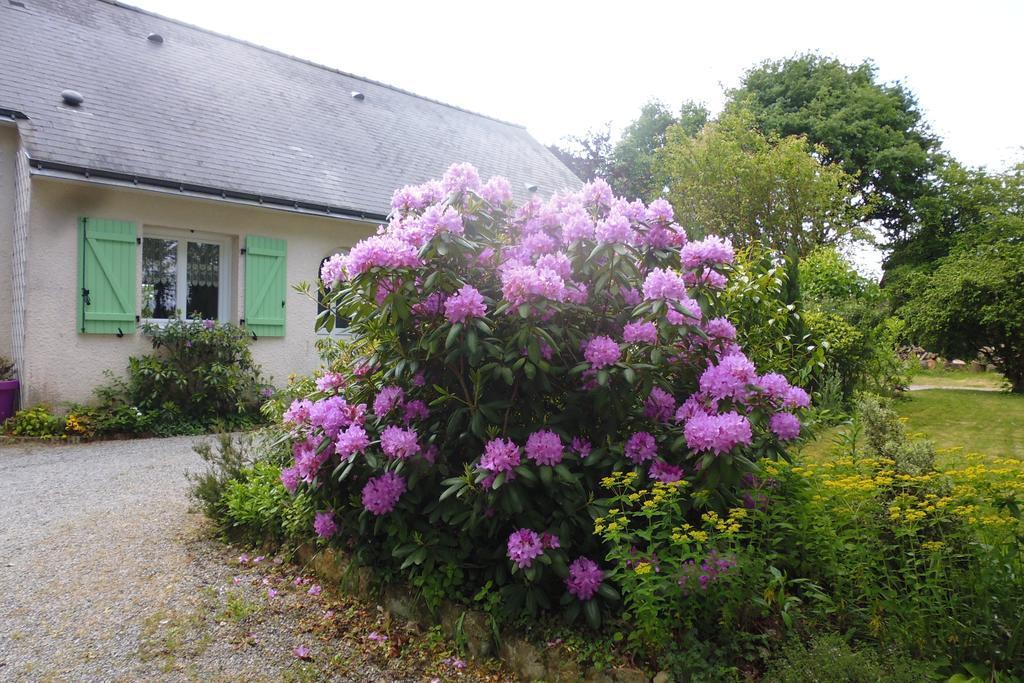 Le Pre De La Lande Bed & Breakfast La Chapelle-Sur-Erdre Eksteriør bilde